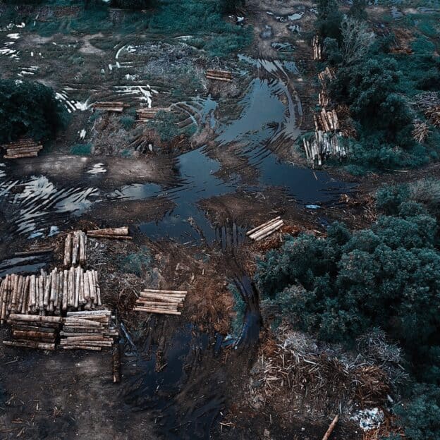 Assessing Land Tenure Regimes