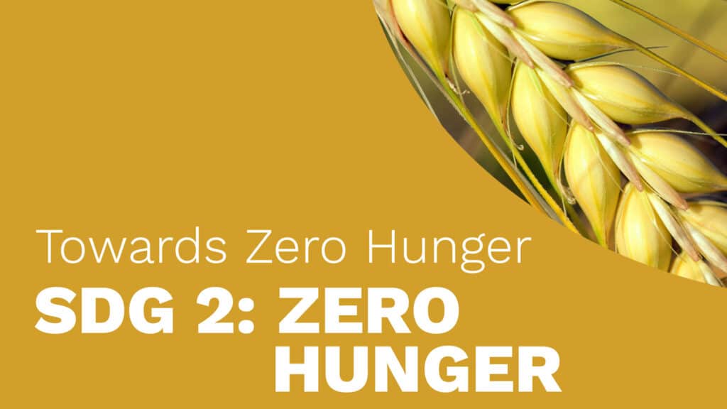 Towards Zero Hunger – SDG 2: Zero Hunger