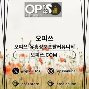 Profile photo of 대구오피 오피쓰주소.COM 대구OP