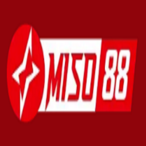 Profile photo of miso88 da com