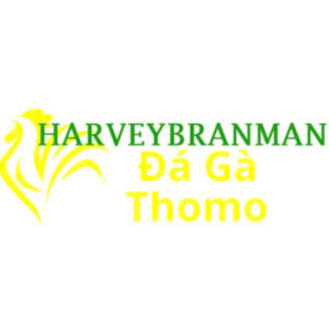 Profile photo of Đá Gà Trực Tiếp Thomo