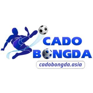Profile photo of Cá độ bóng đá Nền Tảng Cá Cược Trực