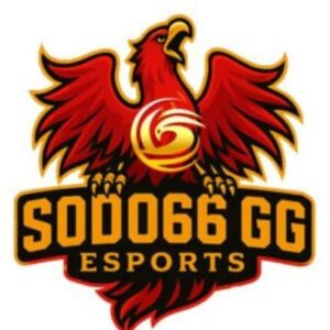 Profile photo of SODO66GG ESPORTS
