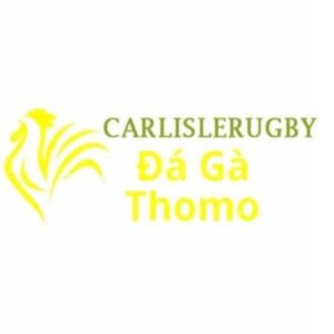 Profile photo of Đá Gà Trực Tiếp Thomo