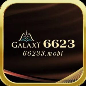 Profile photo of 6623 Galaxy