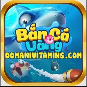Profile photo of bancavang vang