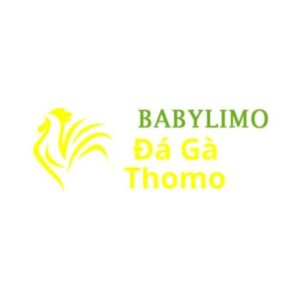 Profile photo of Đá Gà Trực Tiếp Thomo